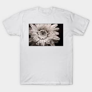 Cupping Crystals T-Shirt